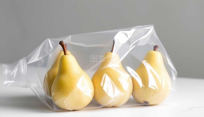 选购真空泵的全面指导:让工作更高效